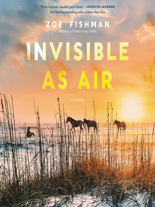 Title details for Invisible as Air by Zoe Fishman - Available